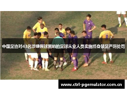 中国足协对43名涉嫌假球黑哨的足球从业人员实施终身禁足严厉处罚 中国足协对43名涉嫌假球黑哨的足球从业人员实施终身禁足严厉处罚